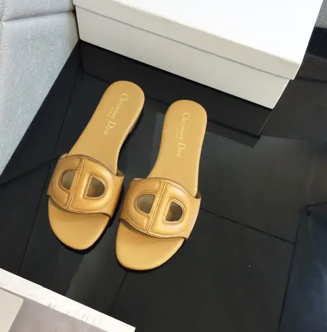 hype Christian Dior Slippers