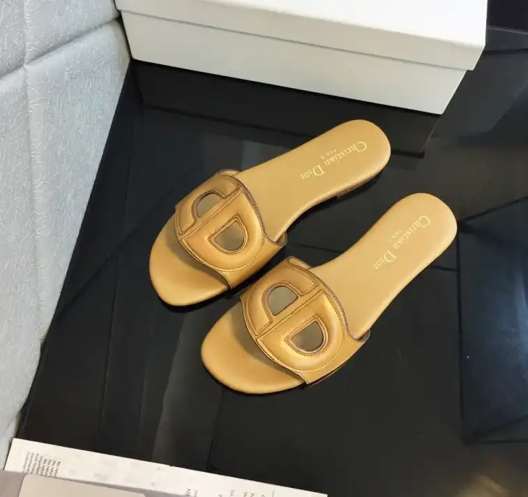 hype Christian Dior Slippers