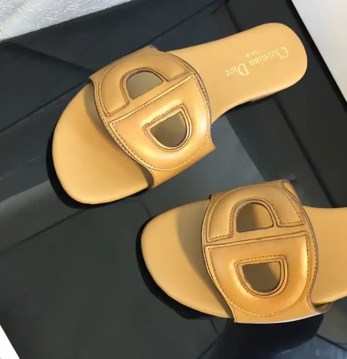 hype Christian Dior Slippers