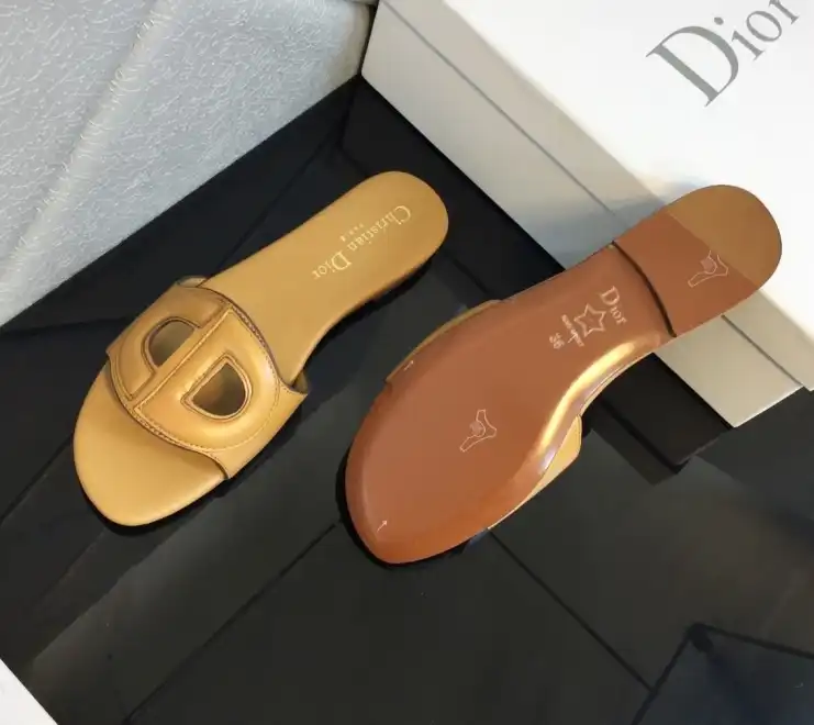 hype Christian Dior Slippers