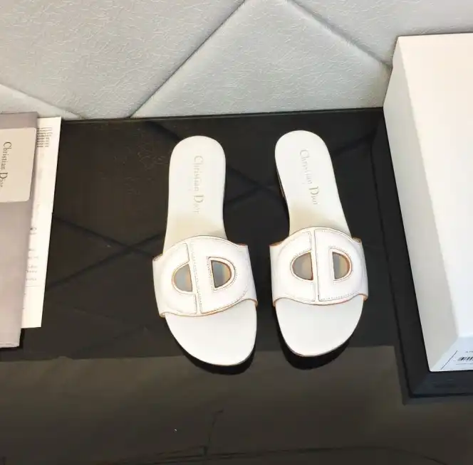 hype Christian Dior Slippers