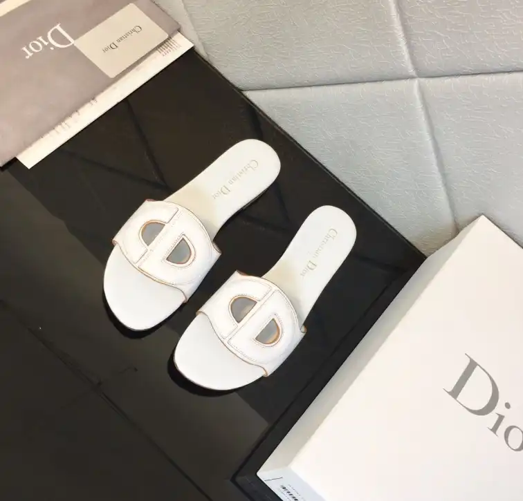 hype Christian Dior Slippers