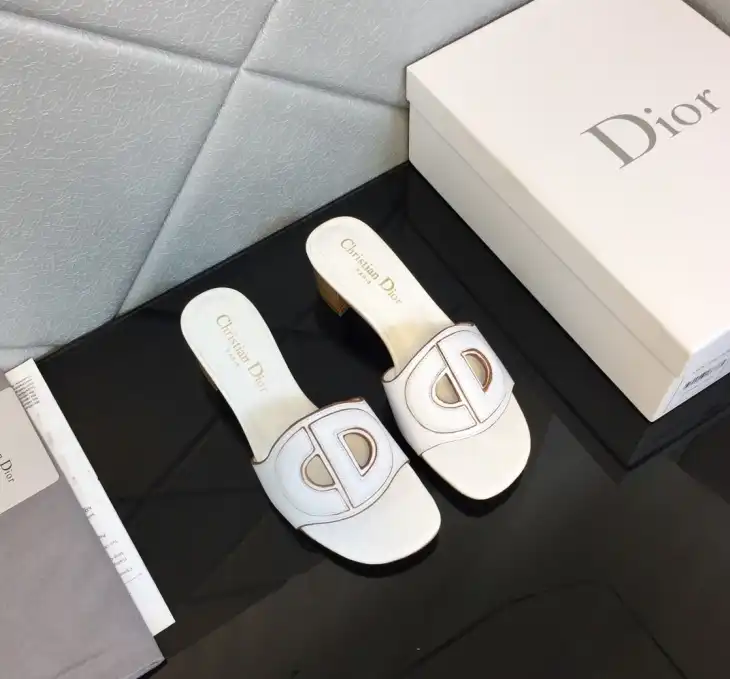 hype Christian Dior Slippers