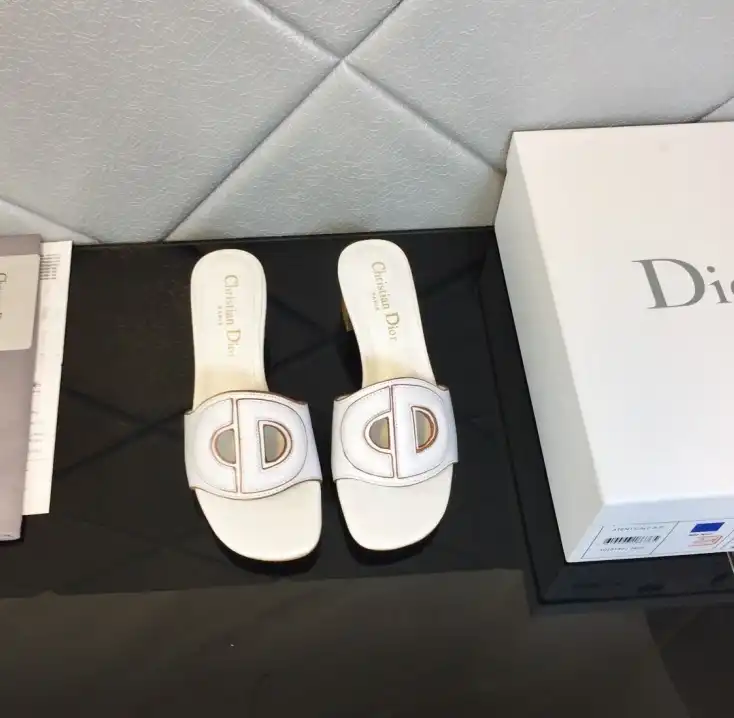 hype Christian Dior Slippers