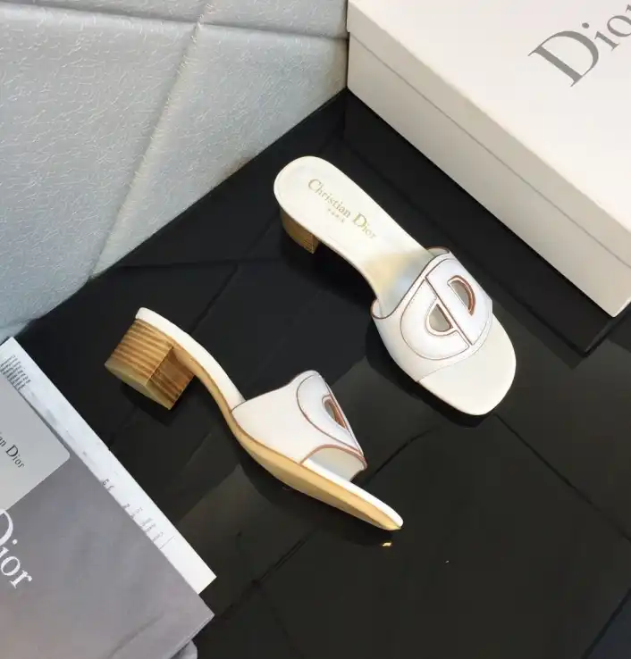 hype Christian Dior Slippers