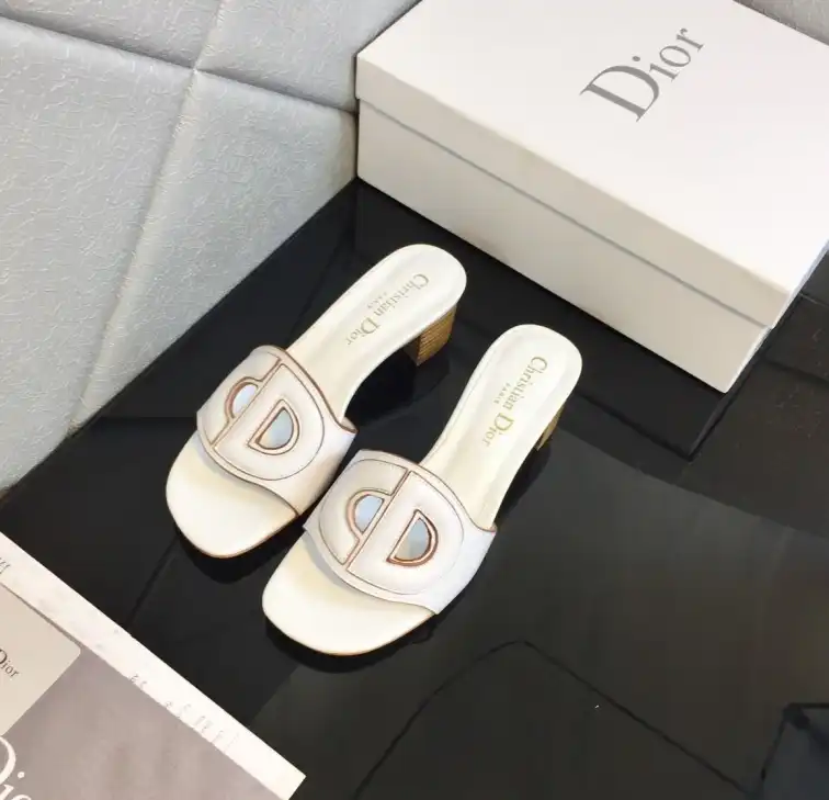 hype Christian Dior Slippers