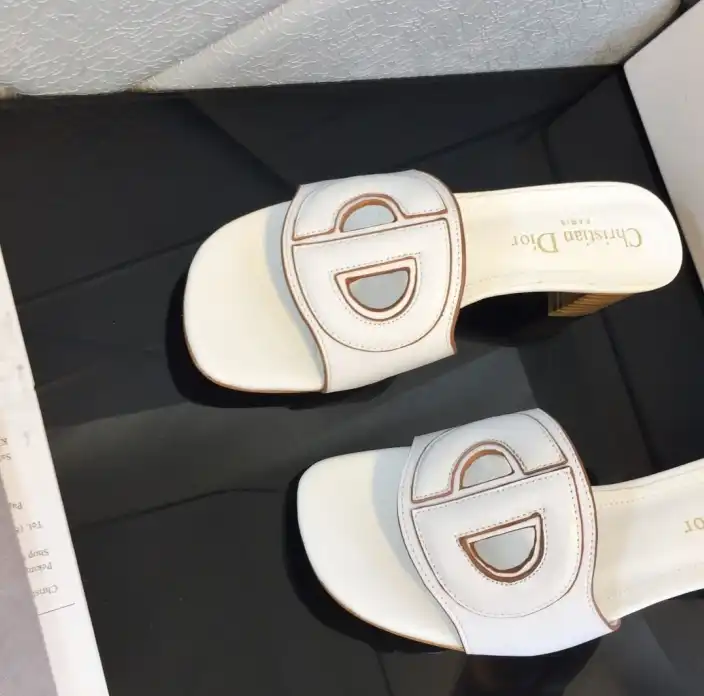 hype Christian Dior Slippers