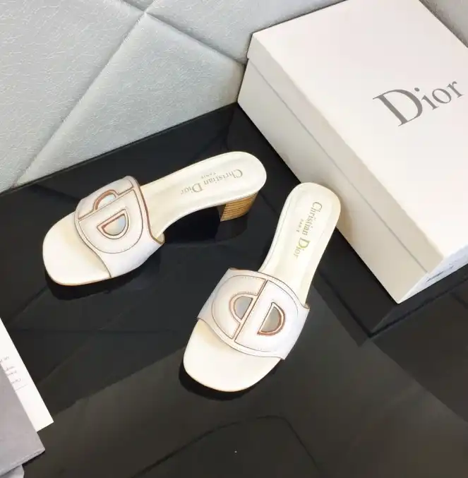 hype Christian Dior Slippers