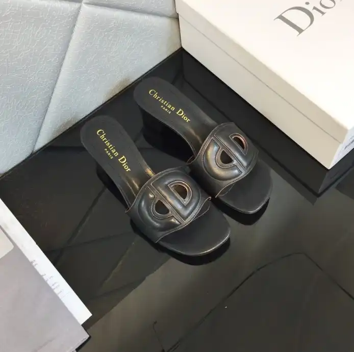 hype Christian Dior Slippers