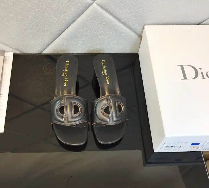 hype Christian Dior Slippers