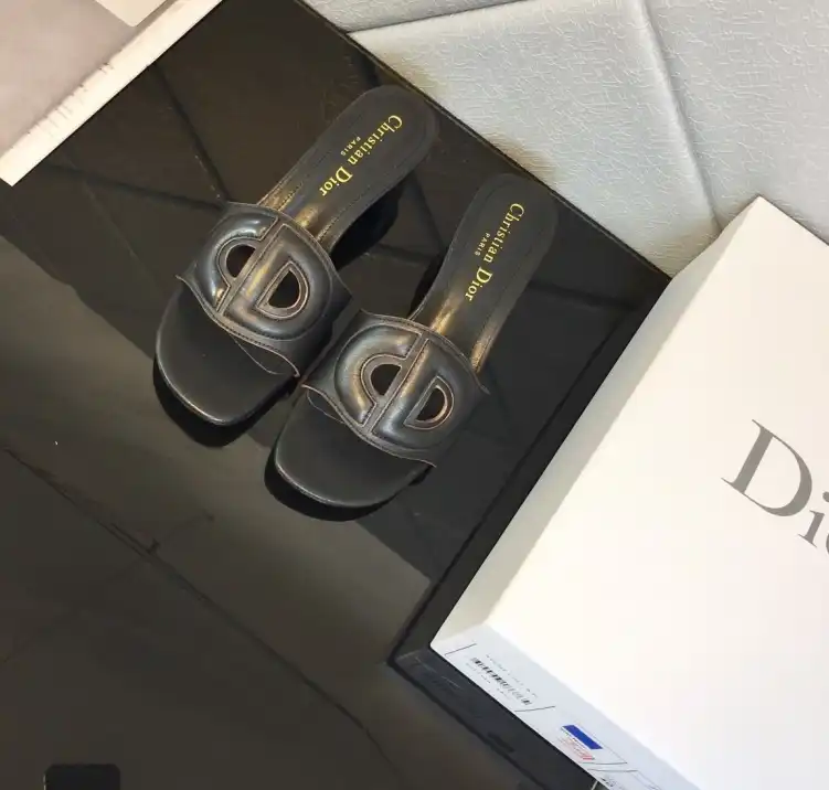 hype Christian Dior Slippers