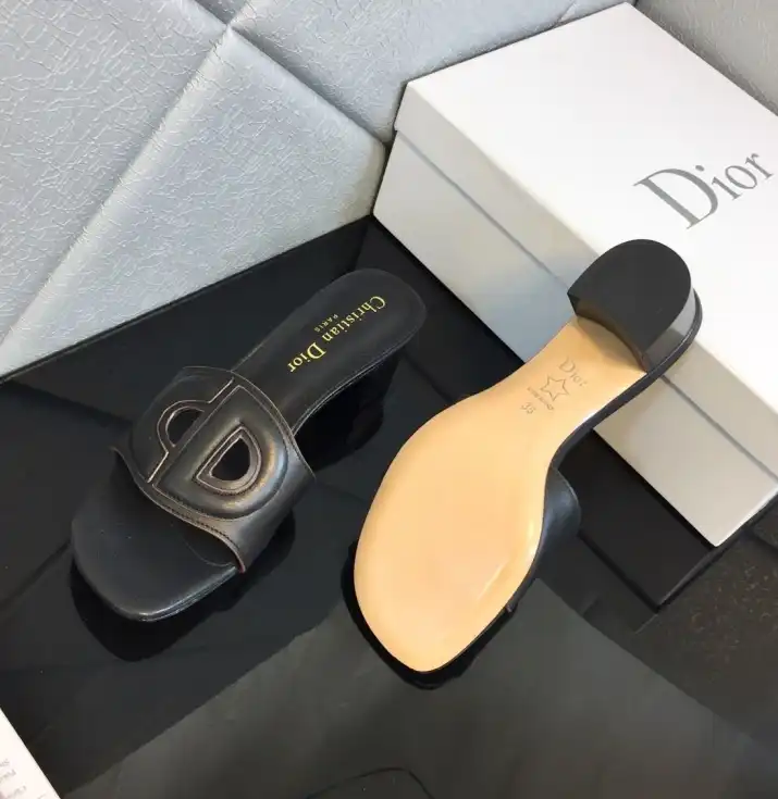 hype Christian Dior Slippers