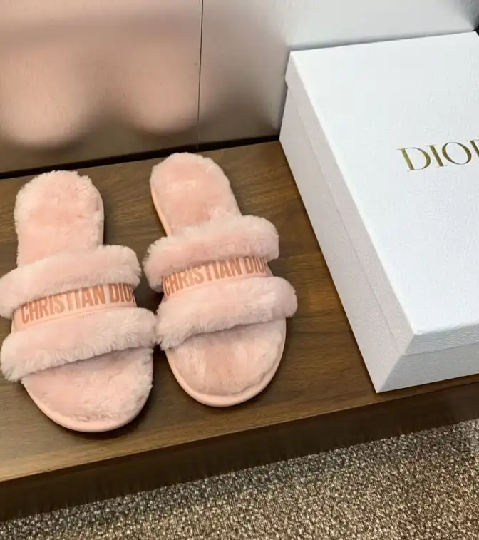 hype Christian Dior Slippers