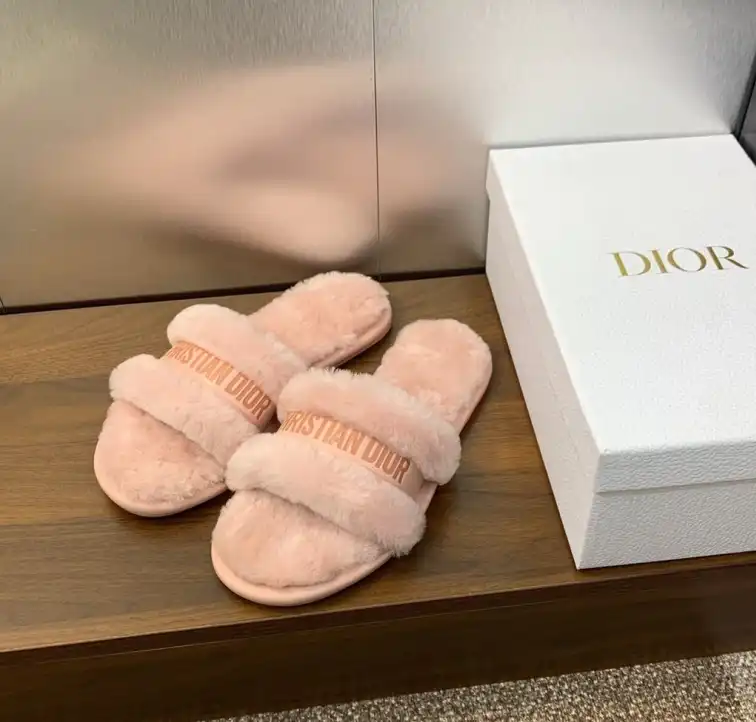 hype Christian Dior Slippers