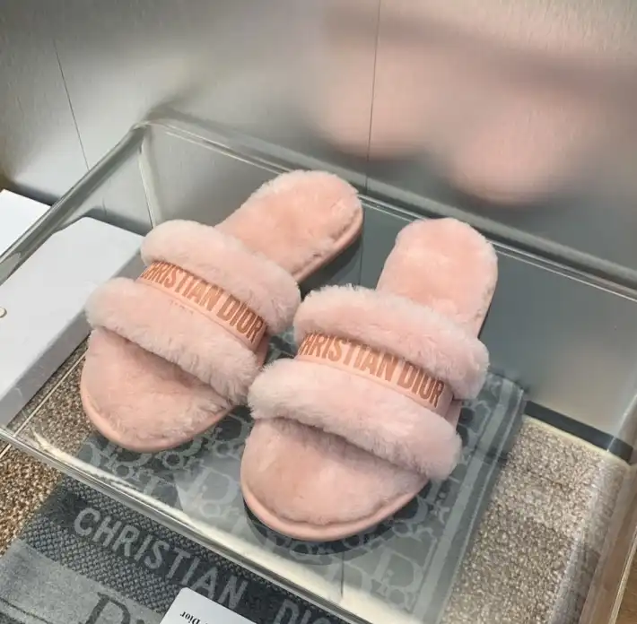 hype Christian Dior Slippers