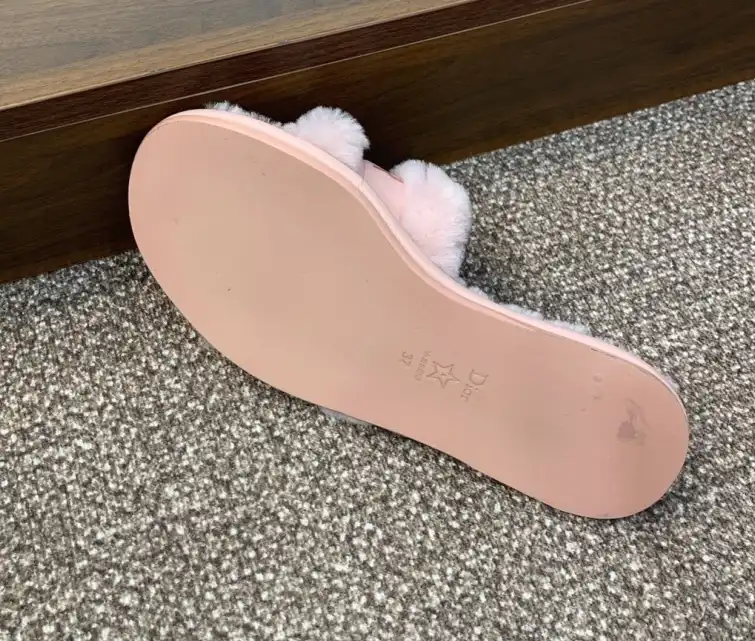 hype Christian Dior Slippers