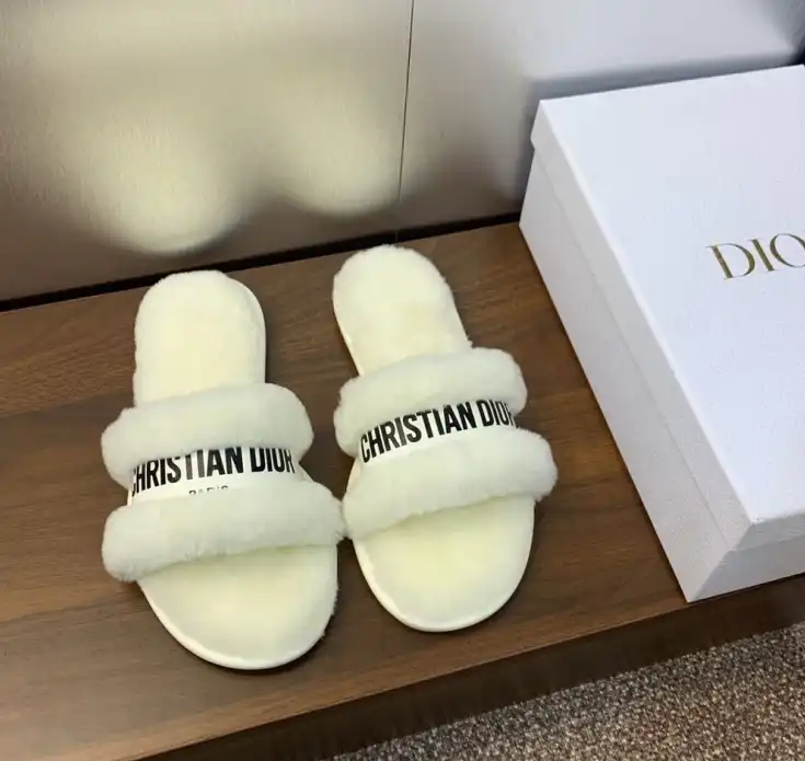 hype Christian Dior Slippers