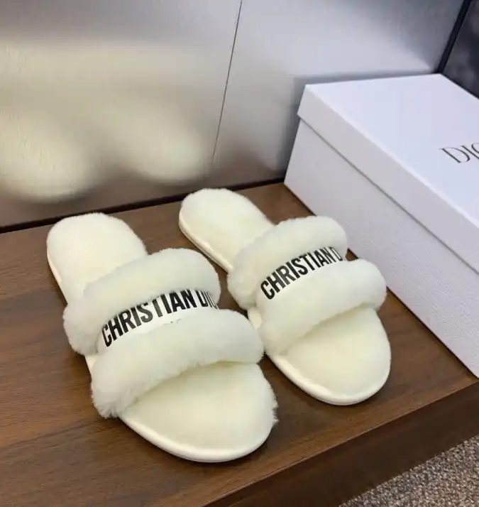 hype Christian Dior Slippers