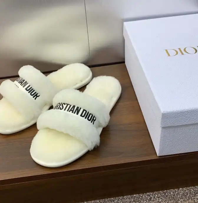 hype Christian Dior Slippers