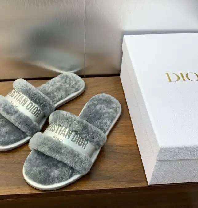 hype Christian Dior Slippers