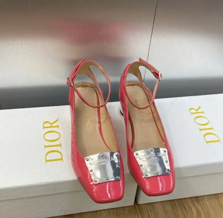 hype Christian Dior Slippers