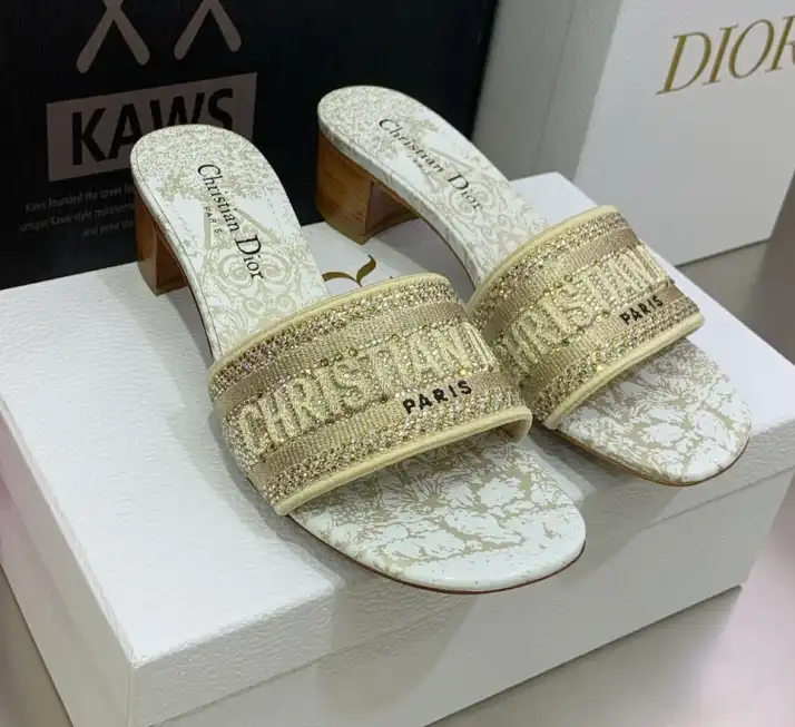 hype Christian Dior Slippers