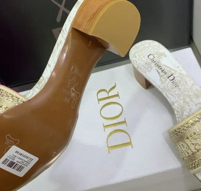 hype Christian Dior Slippers