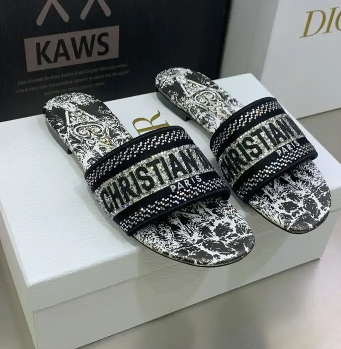 hype Christian Dior Slippers