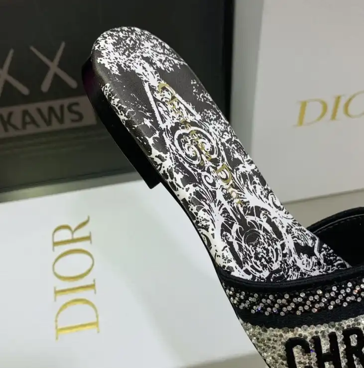 hype Christian Dior Slippers