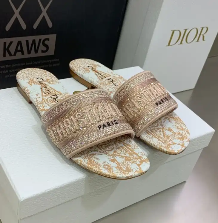 hype Christian Dior Slippers