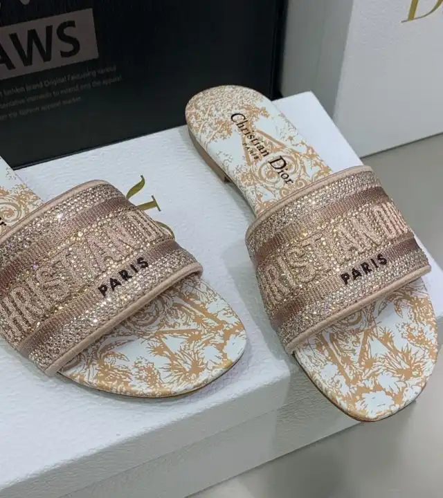 hype Christian Dior Slippers