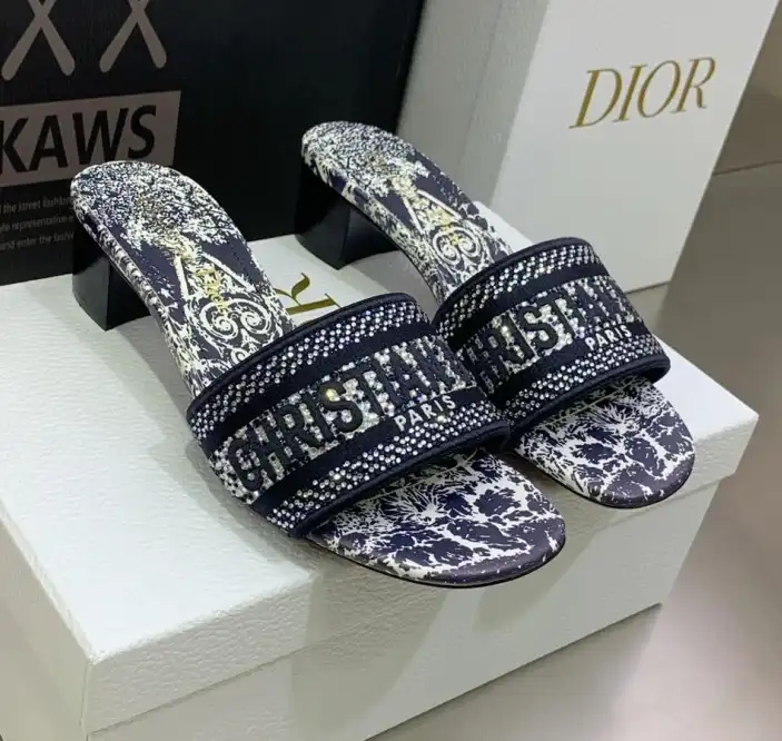 hype Christian Dior Slippers