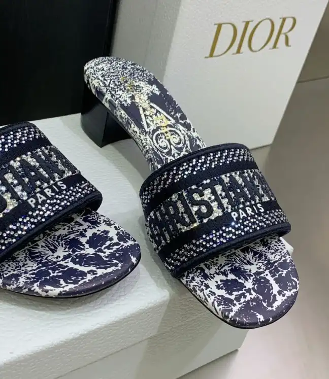 hype Christian Dior Slippers