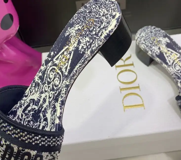 hype Christian Dior Slippers