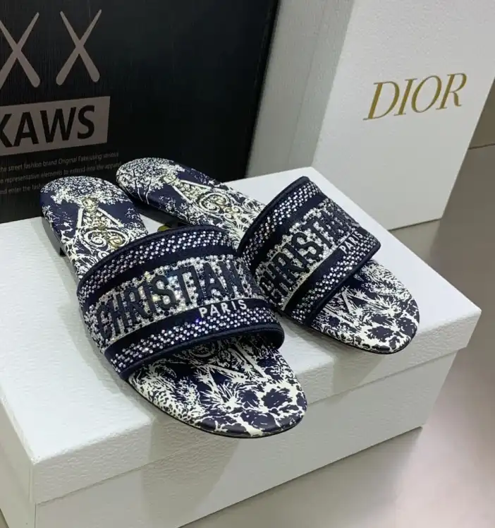 hype Christian Dior Slippers