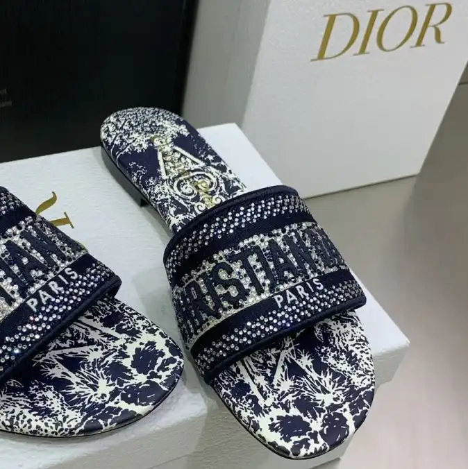 hype Christian Dior Slippers