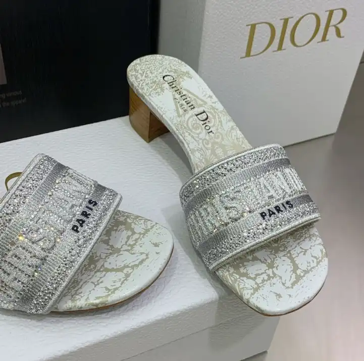 hype Christian Dior Slippers