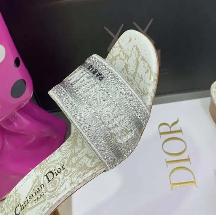 hype Christian Dior Slippers