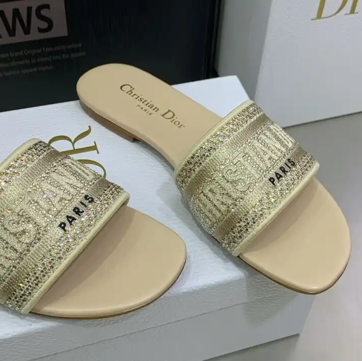 hype Christian Dior Slippers