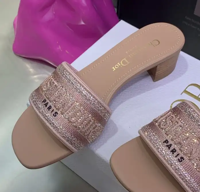 hype Christian Dior Slippers