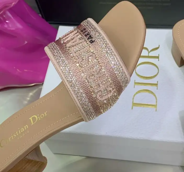 hype Christian Dior Slippers