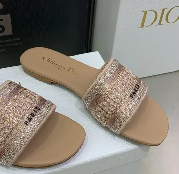 hype Christian Dior Slippers