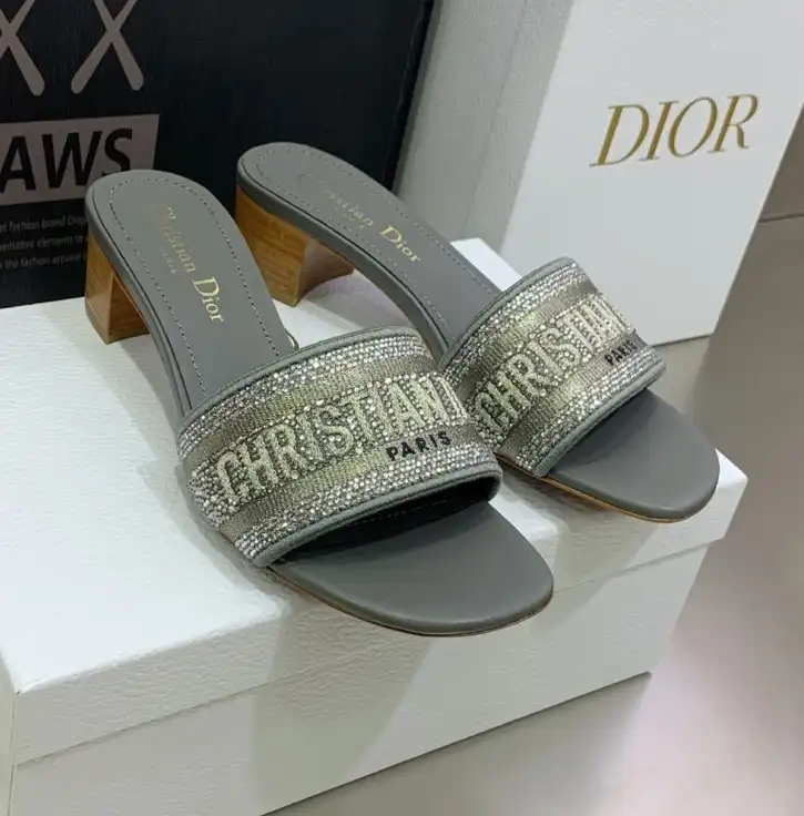 hype Christian Dior Slippers