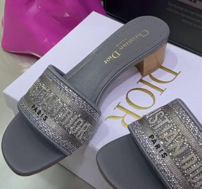 hype Christian Dior Slippers