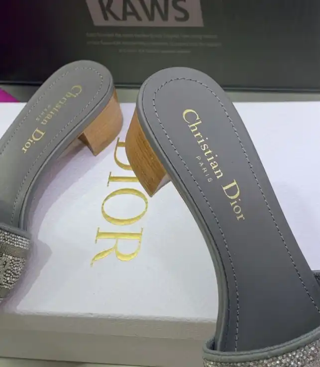 hype Christian Dior Slippers