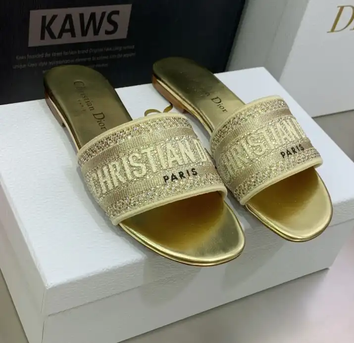 hype Christian Dior Slippers