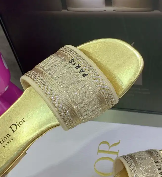 hype Christian Dior Slippers