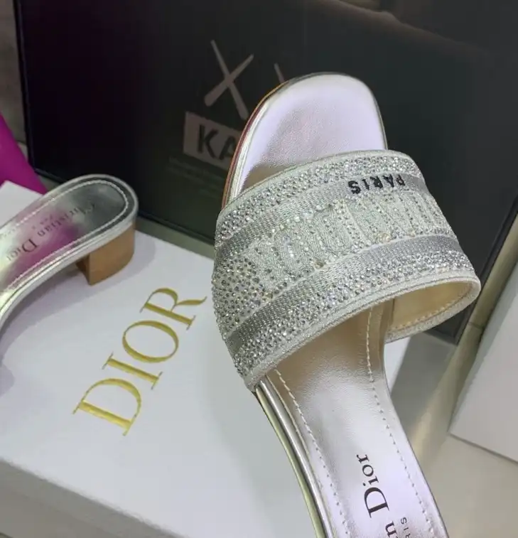 hype Christian Dior Slippers