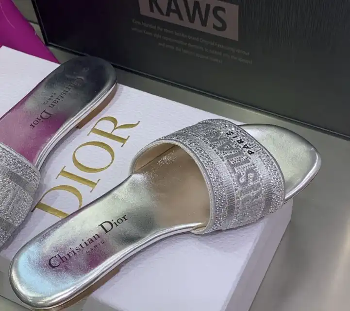 hype Christian Dior Slippers