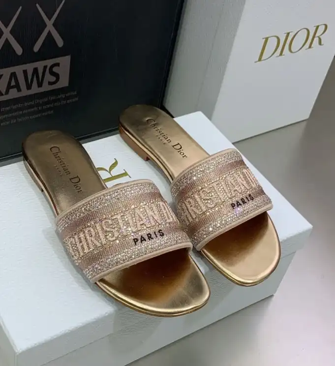 hype Christian Dior Slippers